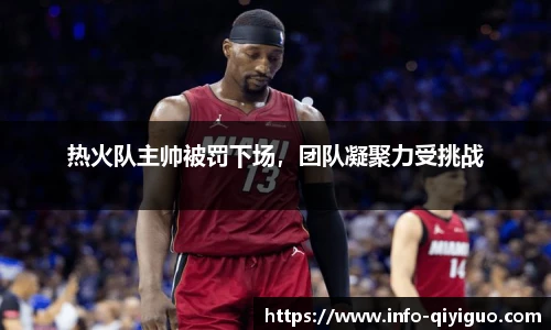 热火队主帅被罚下场，团队凝聚力受挑战